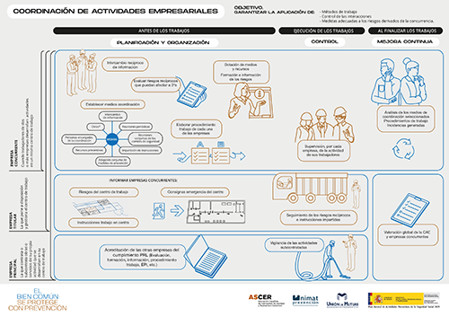 INFOGRAFIA_8_CAE